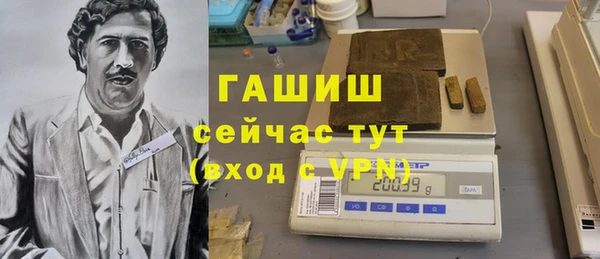 индика Балахна
