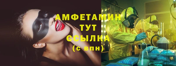 индика Балахна