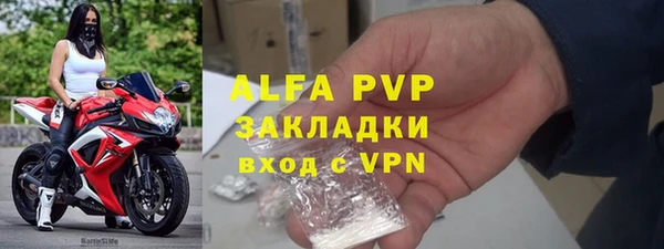 индика Балахна