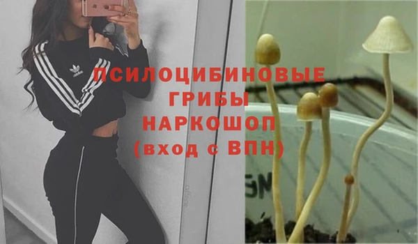 марки nbome Баксан