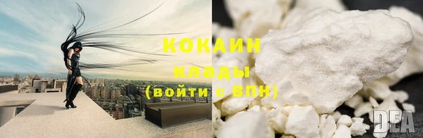 индика Балахна