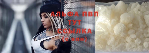 индика Балахна