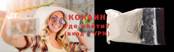 индика Балахна