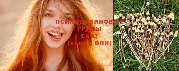 индика Балахна