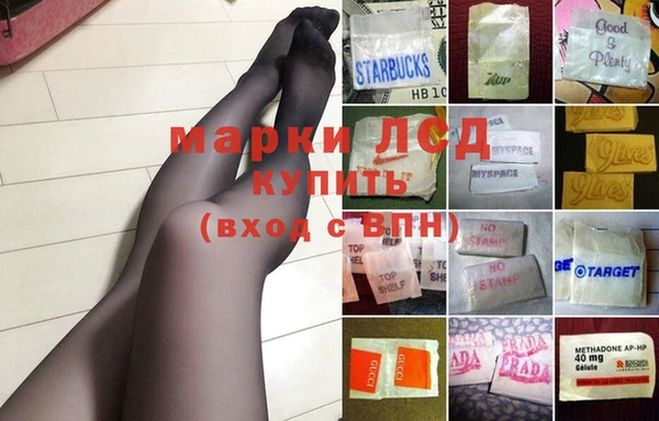 ГАЛЛЮЦИНОГЕННЫЕ ГРИБЫ Балабаново