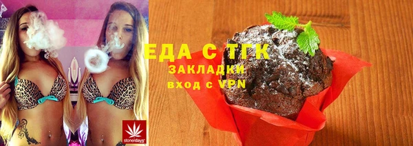 индика Балахна