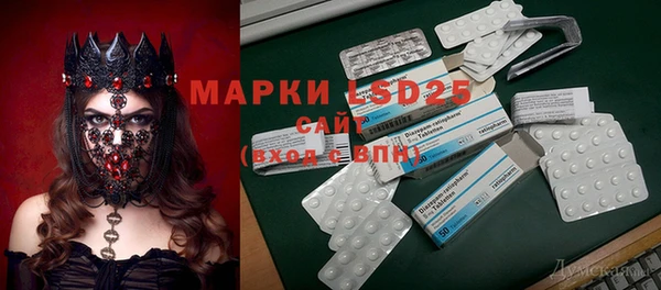 индика Балахна