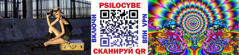 Псилоцибиновые грибы Cubensis Гуково